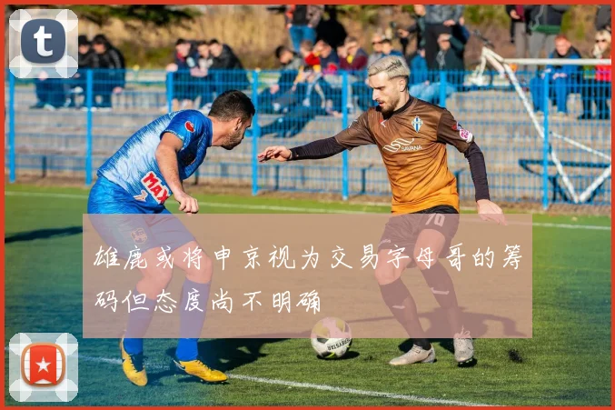 雄鹿或将申京视为交易字母哥的筹码但态度尚不明确
